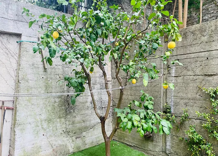 Lemon Tree Resort - Freeparking - Garden