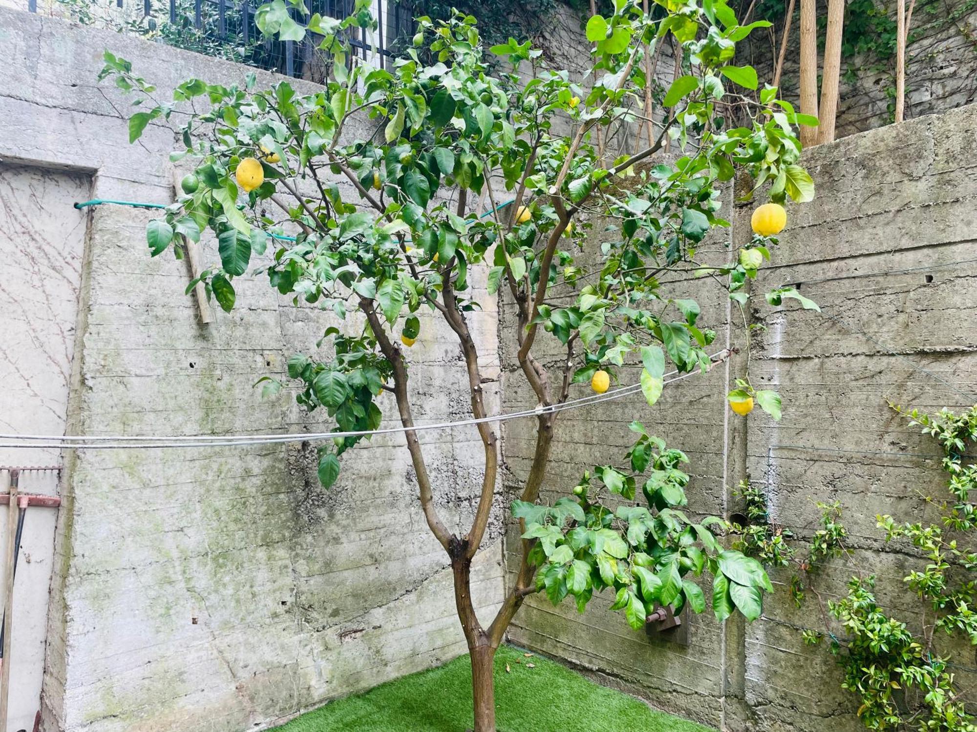 Appartement Lemon Tree - Freeparking - Garden Genua
